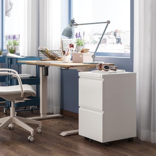 DEVAISE 2 Drawer File Cabinet with Lock for Home Office, Fully Assembled