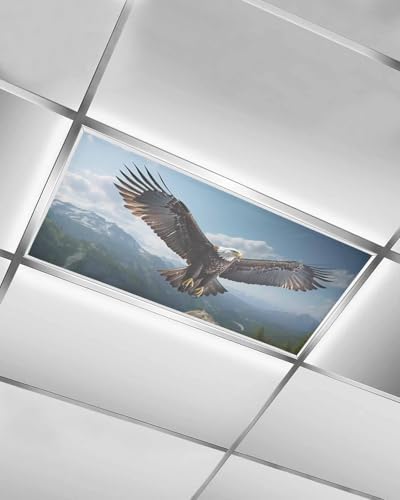 Eagle Magnetic Fluorescent Light Covers for Ceiling Lights 2 x 4 Feet,Forest Mountains Range Sky Animal Natural Landscape Office Classroom Kitchen Drop Ceiling Light Covers Filters Shade Panel 1 Pack