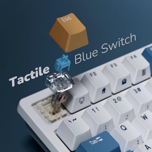 RK ROYAL KLUDGE RK98 Wireless Mechanical Keyboard, 3750mAh, 96% Layout
