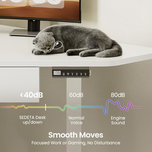 SEDETA Corner Electric Standing Desk with Drawer for Gaming, Small Space