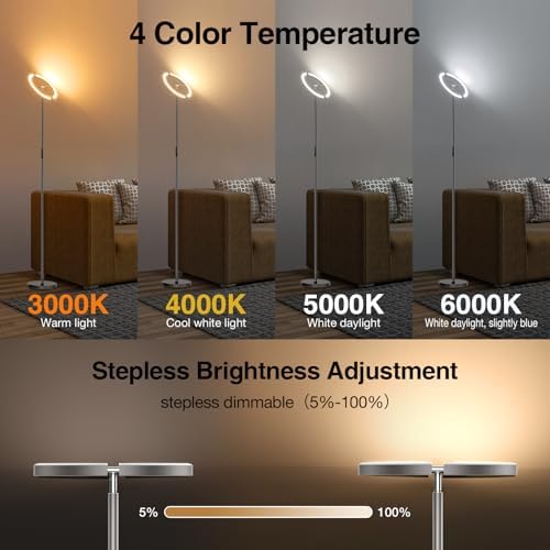 SIBRILLE Gunmetal Gray LED Floor Lamp - Rotatable Standing Lamp for Living Room Bedroom, 22W Dimmable Floor Readig Light with Touch/Remote Control, Modern Corner Lamp for Office, Brightness Adjustable