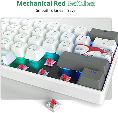 Owpkeenthy RGB Mechanical Keyboard 60 Percent Red Switches