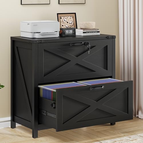 Halitaa Farmhouse Lateral File Cabinet with 2 Drawers, Rustic Black