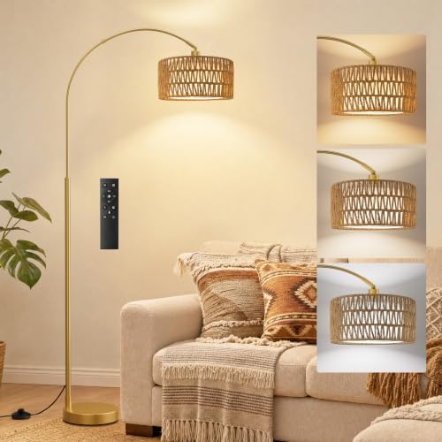Ambimall Rustic Arc Floor Lamp, Color Temp and Brightness Adjustable, Gold