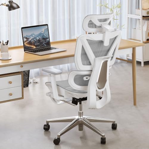ATORPOK Ergonomic Reclining Office Chair with Footrest, Gray