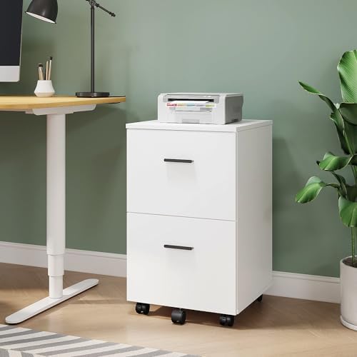 Panana 2 Drawer Mobile File Cabinet, Wood Rolling Filing Cabinet Printer Stand Under Desk Storage Organizer Fits Letter Size File Folders for Home Office (White)