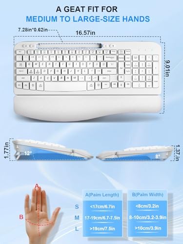 Hayyiesh Ergonomic Wave Keys Wireless Keyboard and Mouse Combo, Full Size with Memory Foam Wrist Rest & Phone Holder, 2.4G Cordless Set with USB-C Adapter for Windows Mac Desktop Laptop (White)
