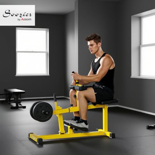 Soozier Seated Calf Raise Machine for Home Gym Waist Arm Training