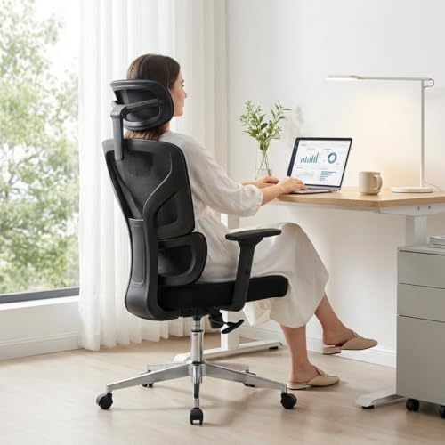 Ergonomic Office Chair with Adjustable Lumbar Support, Black