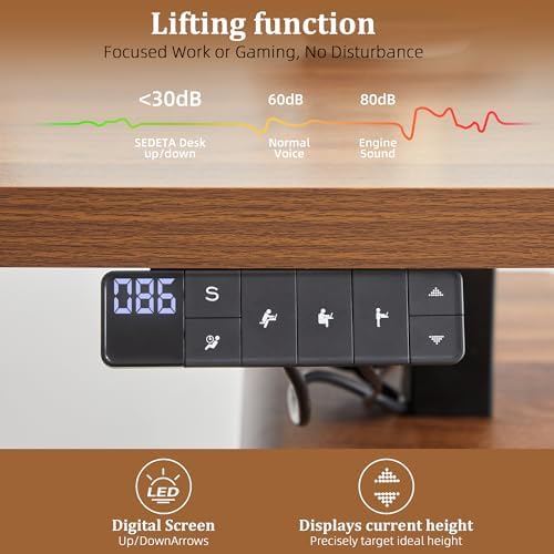 55" Wood Electric Standing Desk with Drawers and Storage Shelves