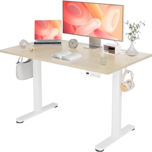 YDN 48 x 24 Inch Nature Electric Standing Desk