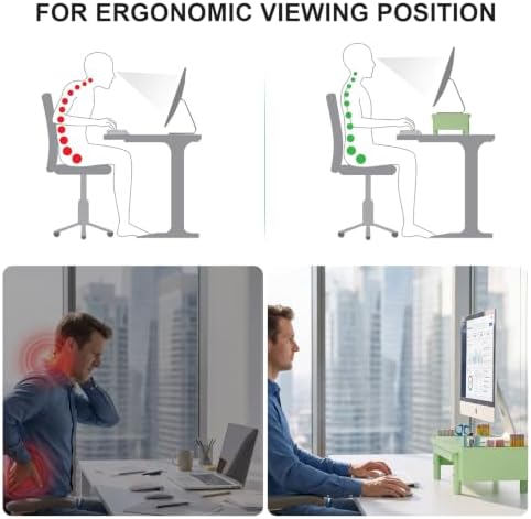 WALI Computer Monitor Stand with Storage and Pen Holder