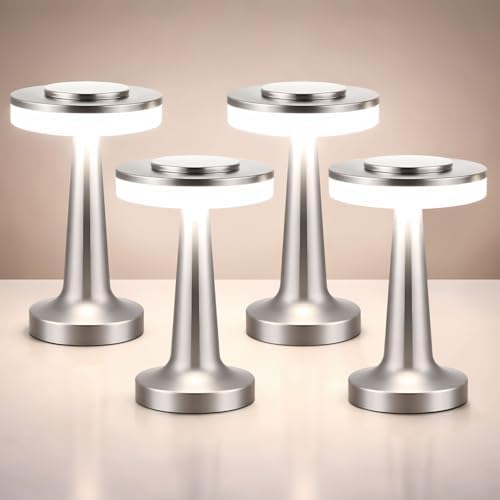 Riakrum 4 Pcs LED Cordless Table Lamp Bulk Rechargeable,Silver