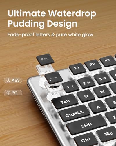 SEUNKWANG Wired Keyboard with White Backlight Pudding Keycaps, Black