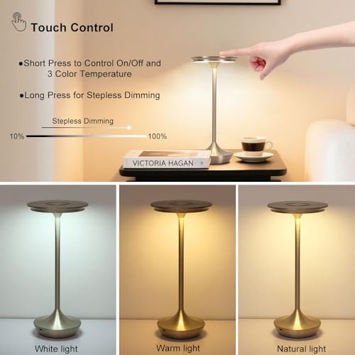 LED Cordless Table Lamp Rechargeable,Portable 6000mAh Battery Outdoor Bedside Table Lamps,3 Color Stepless Dimming Touch Battery Powered Lamp, Table Light for Restaurant/Patio/Camping/Bedroom(Silver)