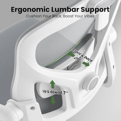 Ergonomic Home Office Desk Chair with Flip-Up Arms and Headrest, Gray/White