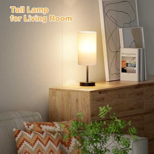 Dicoool 17.4" Bedside Lamp for Bedroom - Dimmable Touch, USB A+C, AC Outlet