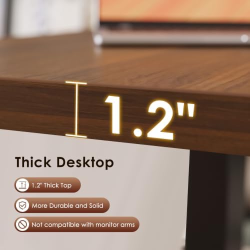 OffiGo 71 Inch Executive Electric Standing Desk Height Adjustable, Walnut