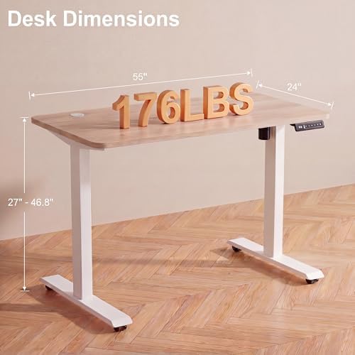 55'' × 24'' Height Adjustable Electric Standing Desk with Wheels