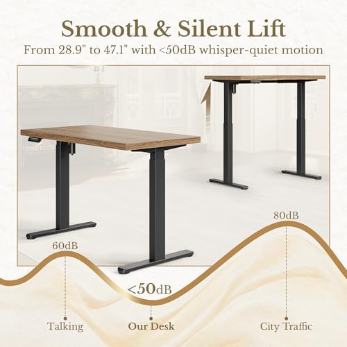 ErGear 48 X 24 Inch Height Adjustable Electric Standing Desk, Natural Oak
