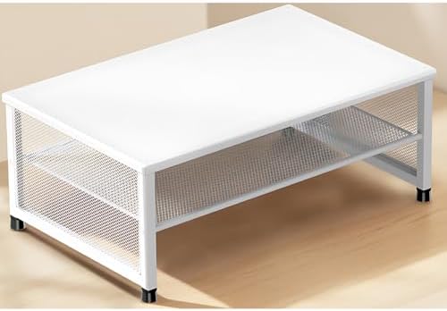 ECOLOVI 2-Tier Computer Monitor Stand Riser, Printer & Laptop Stand, Office Desk Accessories, Workspace Desk Organizer for Home Office Supplies, White