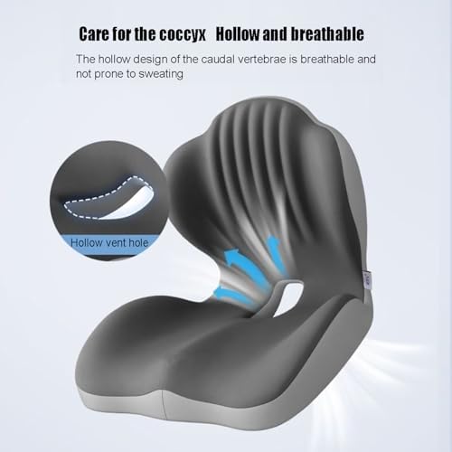 Ergonomic Memory Foam Seat Cushion with Lumbar Support, Posture Corrector for Office Chair (Grayish Blue)