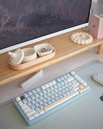 Bamboo Dual Monitor Stand Riser, Natural Desktop Shelf with Storage