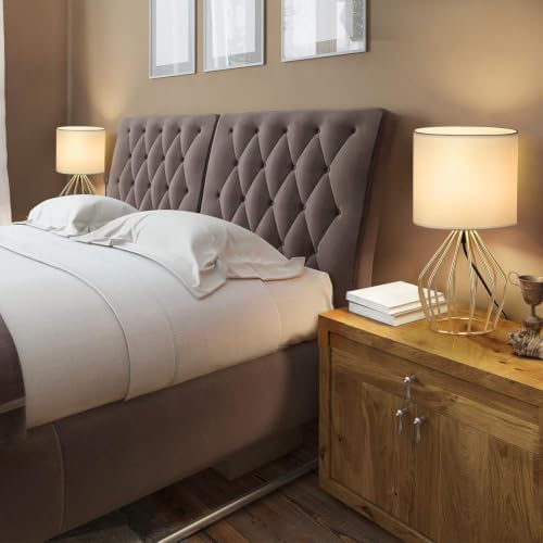 HAITRAL Gold Table Lamp - Modern Style Desk Lamp,13.8Inch,E26 Base