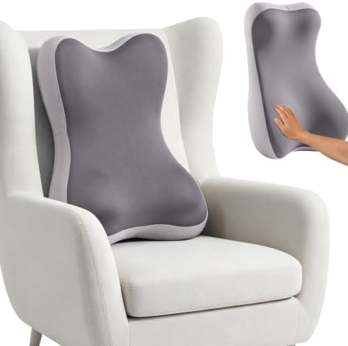 2-in-1 Neck and Lumbar Support Pillow, Recliner Back Cushion with Cover