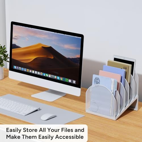5-Section Desk File Organizer