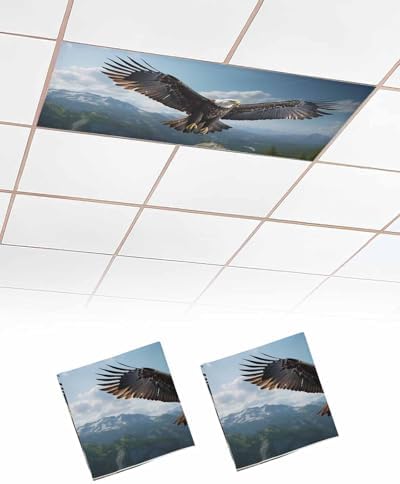 Eagle Magnetic Fluorescent Light Covers for Ceiling Lights 2 x 4 Feet,Forest Mountains Range Sky Animal Natural Landscape Office Classroom Kitchen Drop Ceiling Light Covers Filters Shade Panel 2 Packs