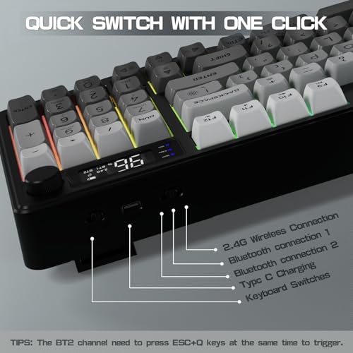 LexonElec M96 Wireless Keyboard, Low Profile Quiet Typing Membrane Gaming Keyboard with Smart Display & Knob, RGB Backlit, USB C Rechargeable, 94 Keys PBT Keycap for Windows PC,Mac,Linux-Moonlit Night