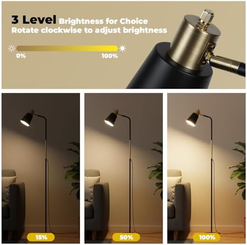 LALISU Floor Lamp Industrial Floor Lamps Reading Farmhouse Standing Lamp