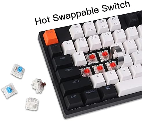 Keychron C2 Full Size Wired Mechanical Keyboard for Mac, Hot-swappable