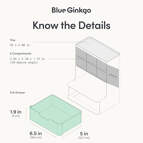BLUE GINKGO Hive Pen Desk Organizer, Green, Made in Korea