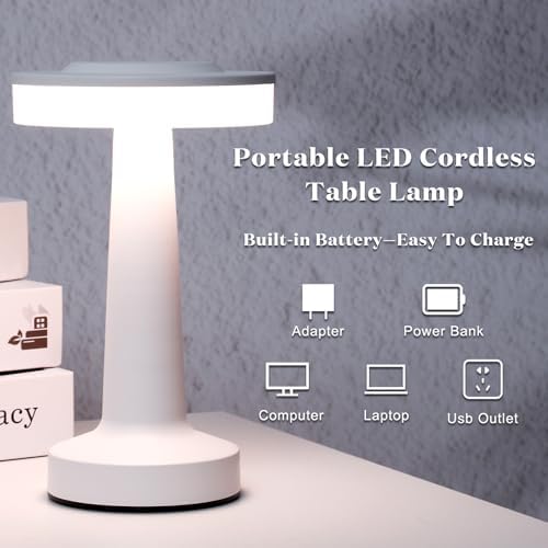 Riakrum 2 Pcs LED Cordless Table Lamp Bulk Rechargeable,White