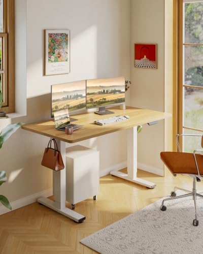 SANODESK 48''x24'' One-Piece Height Adjustable Electric Standing Desk