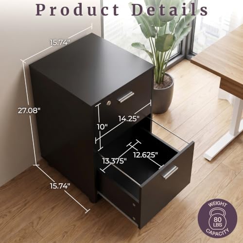 Lavish Home 2-Drawer Wooden File Cabinet with Lock, Black, 16” x 27”