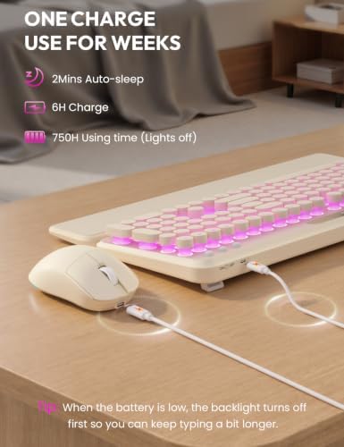 Wireless Keyboard and Mouse, Backlit Typewriter with Magnetic Wrist Rest