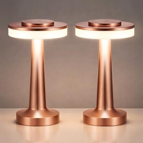 Riakrum 2 Pcs LED Cordless Table Lamp Bulk Rechargeable,Rose Gold