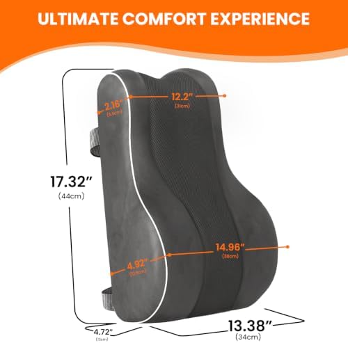 CloudBliss Lumbar Support Pillow, Memory Foam for Office, Standard, Gray