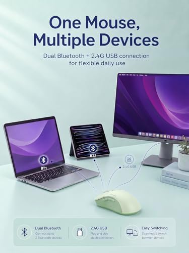 RAPIQUE Bluetooth Wireless Mouse, Dual Bluetooth & 2.4GHz, Sage Green