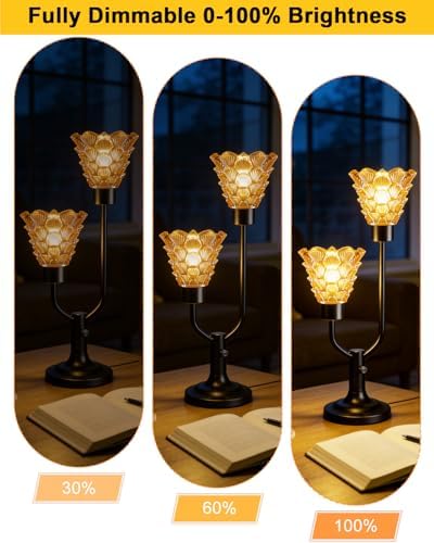 Lightdot Mid Century Modern Table Lamp Dimmable Vintage Black Lamp Gift