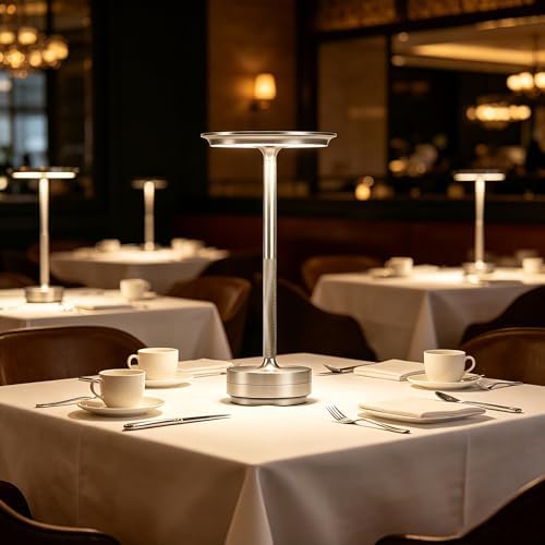 LED Cordless Table Lamp Rechargeable Battery Outdoor Light Silver
