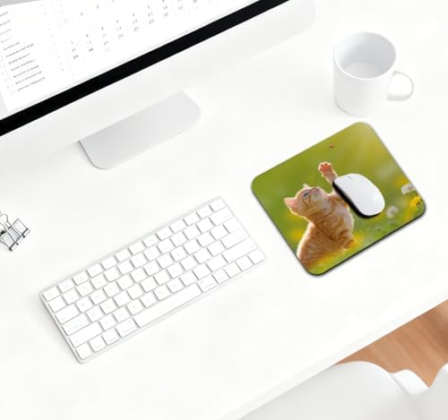 9.5x7.9 Inch Office/Gaming Mouse Pad, Lovely Orange Tabby Kitten Playing with Ladybug Adorable Spring Cat Pet, Cute Anti-Slip Mat for Desk Decor