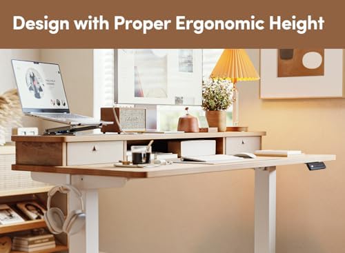 BANTI 48x24 Inch Electric Height Adjustable Standing Desk, Home Office Computer Desk with Double Storage Drawers, 4 Adjustable Feet & 2 Hooks, Maple