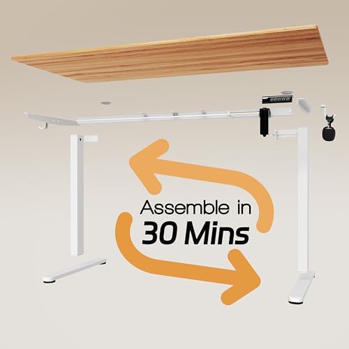 Monomi Electric Standing Desk, 47.2 inches Height Adjustable Desk, Natural