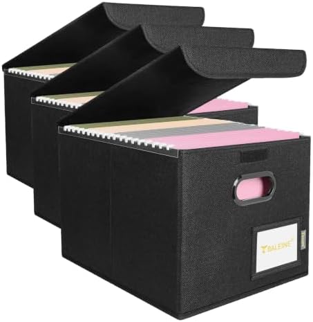 BALEINE File Organizer Box with Lid, Collapsible File Folder Organizer with Plastic Slide, Hanging File Folder Box for Office Document Storage (3 Pack, Black)