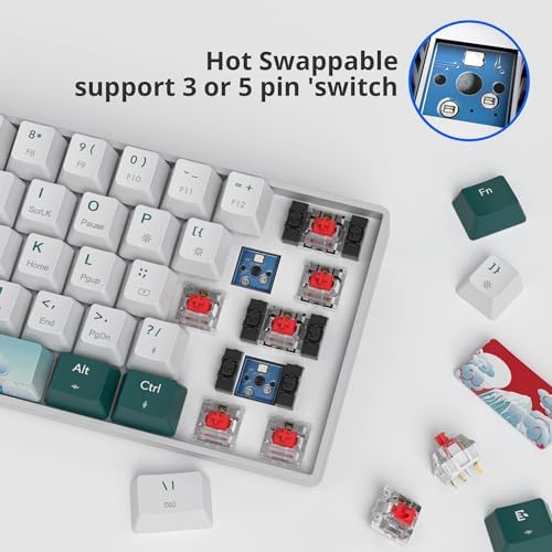 surmen Wireless Keyboard 60% Gaming Keyboard 60 Percent, Hot Swappable RGB Mini Bluetooth BT5.0/USB-C Mechanical Keyboard with Software for Windows Mac Laptop (Gateron Red, Green 61)