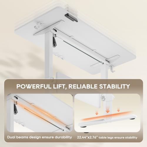 MALOL 47" x 24" Height Adjustable Electric Standing Desk, White